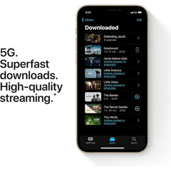 Apple iPhone 12 Pro Max (256GB) used