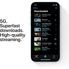 Apple iPhone 12 Pro Max (256GB) used