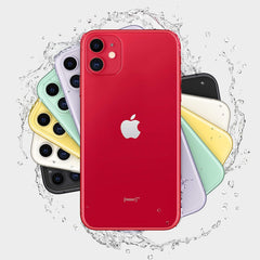 Apple iPhone 11  - (Used)