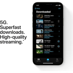 Apple iPhone 12 Pro Max (256GB) used